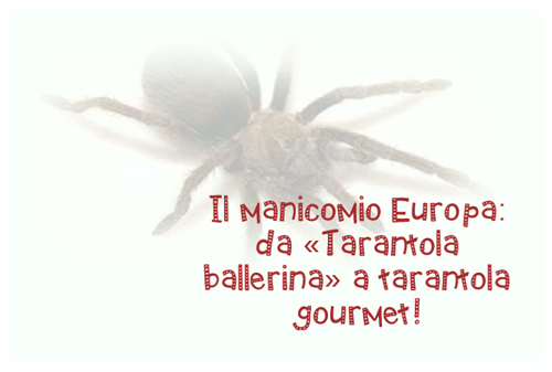 L’opinione – Il manicomio europa: da “Tarantola ballerina” a tarantola gourmet