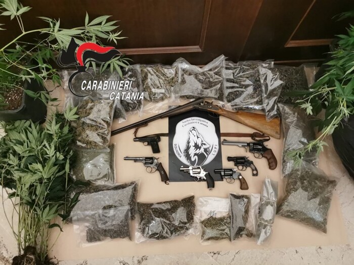 Operazione dei carabinieri “Squadra Lupi”- Sequestro marijuana, hashish e arsenale a Catania