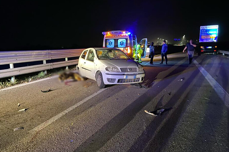 Sicilia – Incidente nella notte su A29, morta donna di Castelvetrano