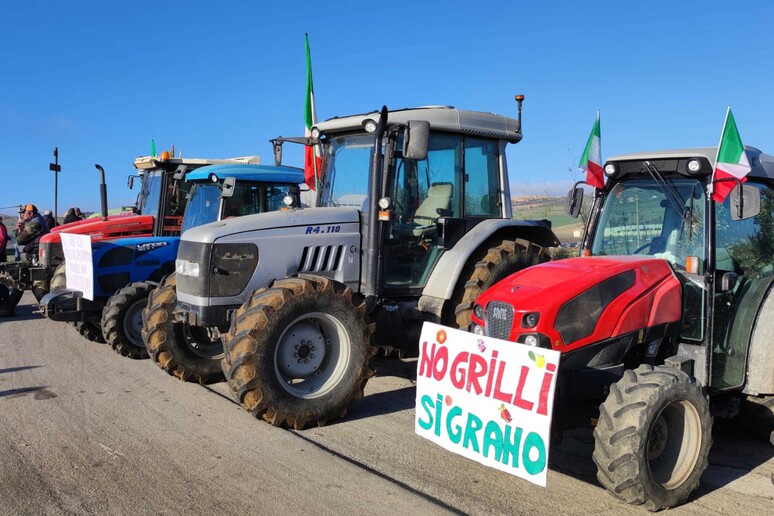 Agricoltori e allevatori – Protesta trattori, presidio sulla Sciacca-Palermo