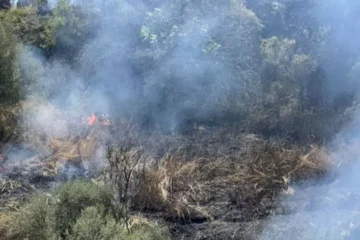Incendi in diverse zone di Menfi nell’agrigentino, lambite abitazioni