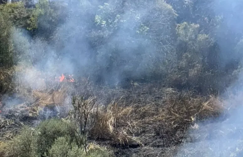 Incendi in diverse zone di Menfi nell’agrigentino, lambite abitazioni