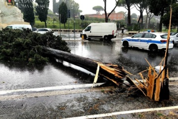 Roma- Ombrello e parasole