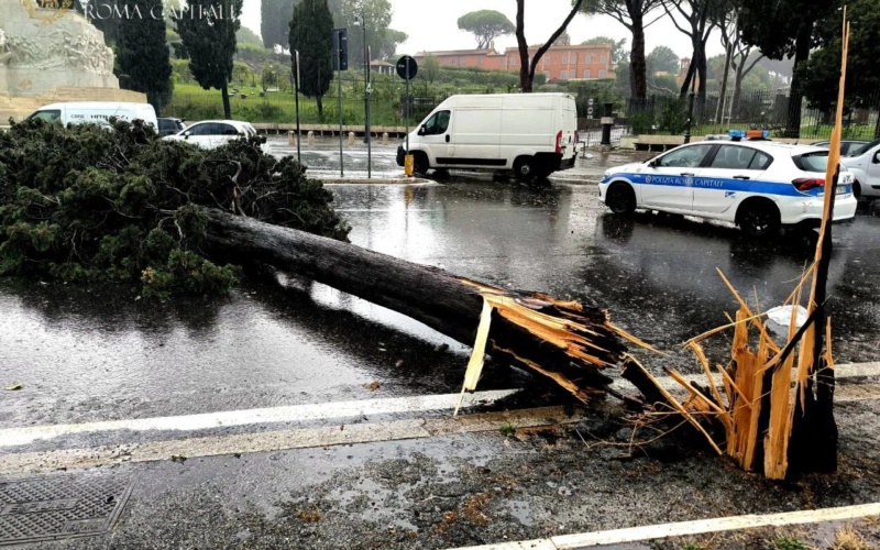 Roma- Ombrello e parasole