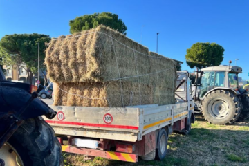 Gli agricoltori in ginocchio, pronta la protesta al G7