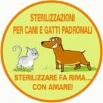 Democrazia Partecipata, a Priolo cani e gatti sterilizzati gratuitamente