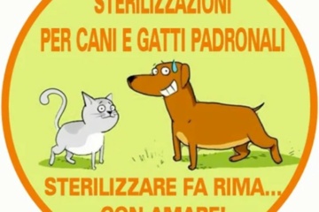 Democrazia Partecipata, a Priolo cani e gatti sterilizzati gratuitamente