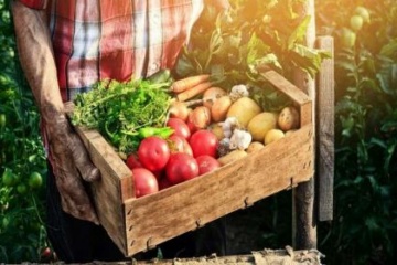 Siccità, 100 milioni per l’agricoltura.