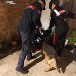 I carabinieri scovano droga in un vicolo di Ortigia