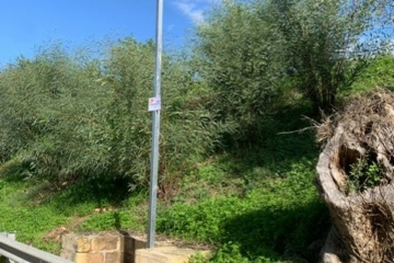 Traversa San Tommaso: installate le foto-trappole