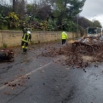 Albero abbattuto: chiusa la statale 124, strada per Floridia