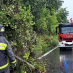 Raffiche di vento, 25 interventi dei vigili del fuoco a Siracusa -(Video)