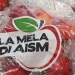 L’asta della solidarietà di AISM: venerdì la consegna dei 3 panettoni artigianali