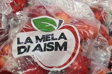 L’asta della solidarietà di AISM: venerdì la consegna dei 3 panettoni artigianali