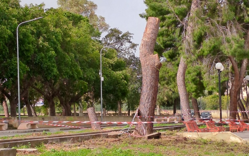 Priolo, legambiente: esposto per abbattimento alberi