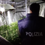 Lentini, aveva una serra di marijuana in casa: arrestato 21enne