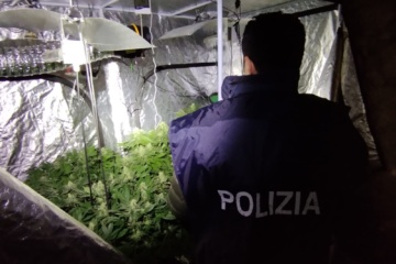 Lentini, aveva una serra di marijuana in casa: arrestato 21enne