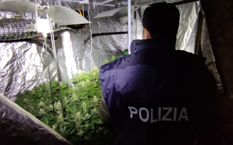 Lentini, aveva una serra di marijuana in casa: arrestato 21enne