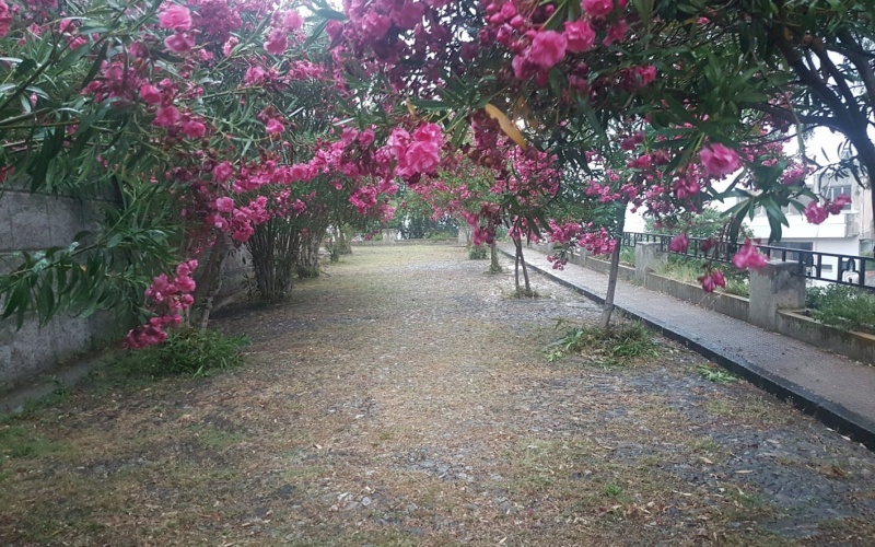 8 marzo a Messina: domani ai Giardini di Montalto iniziativa dedicata alle donne