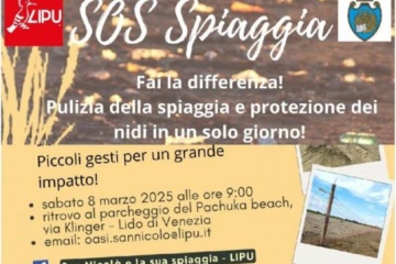 Venezia – Lipu: SOS spiaggia, fai la differenza alla spiaggia San Nicolò del Lido﻿